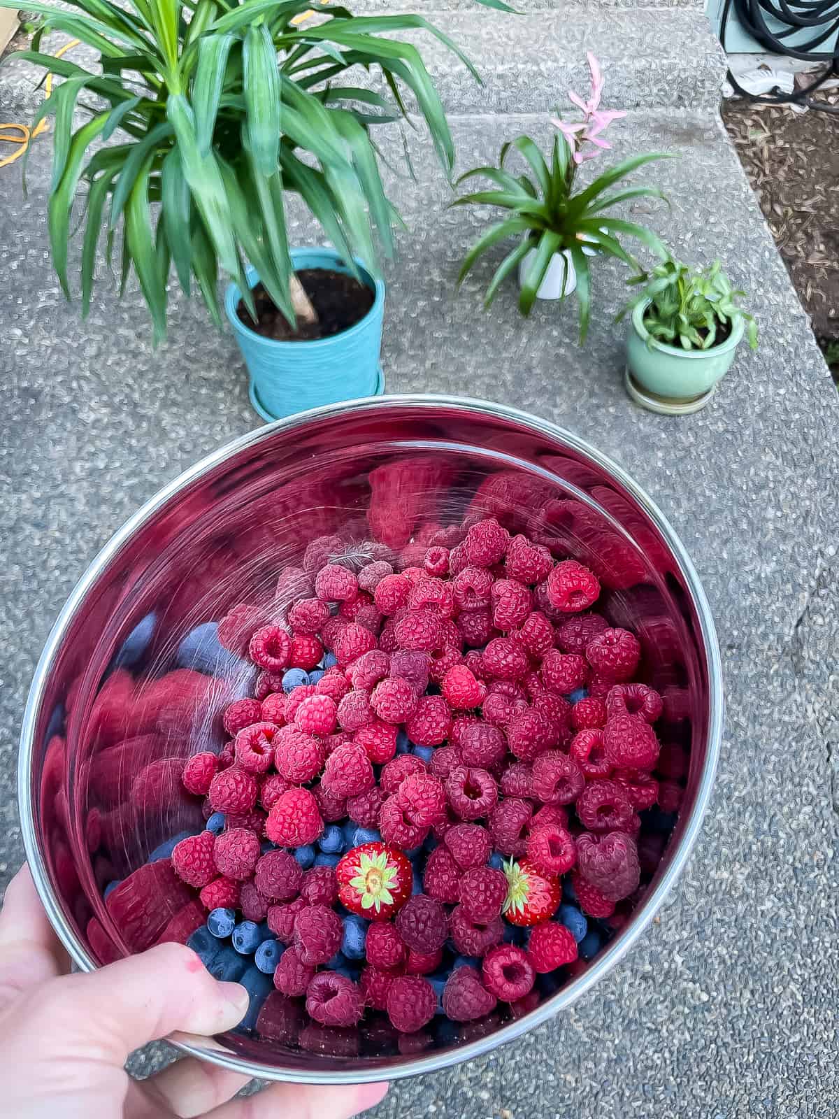 a bowl of raspberries, blueberries, and strawberries.