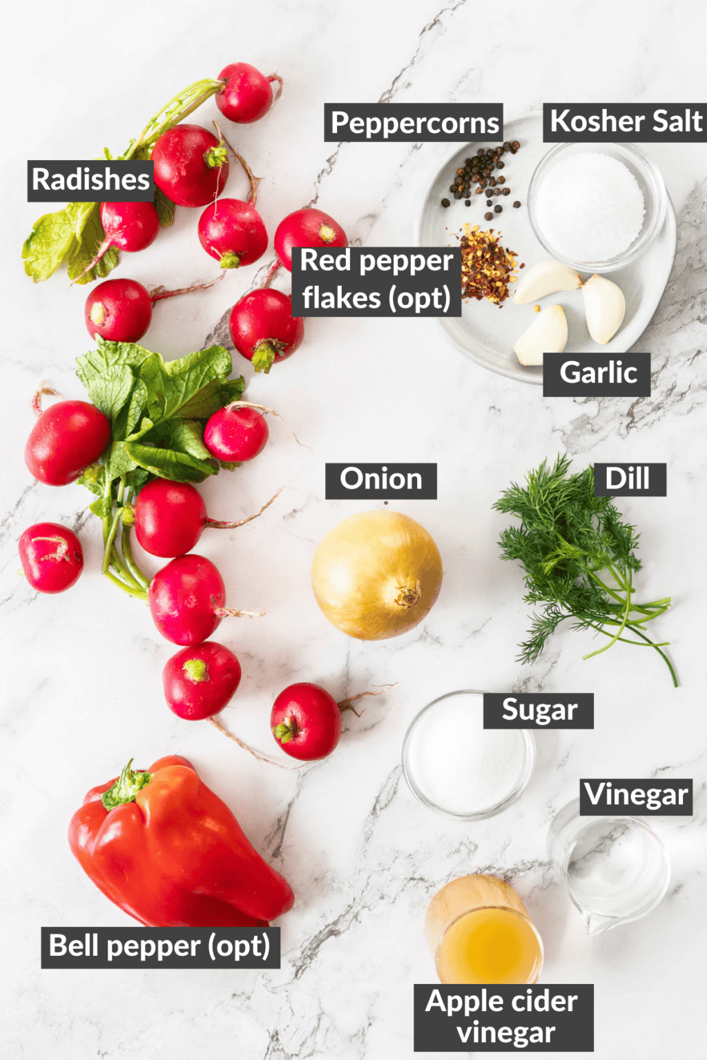 Pickled Radishes - Sustainable Cooks