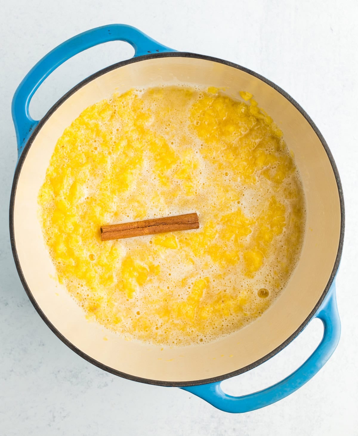 fruit sauce and a cinnamon stick in a blue Dutch oven.