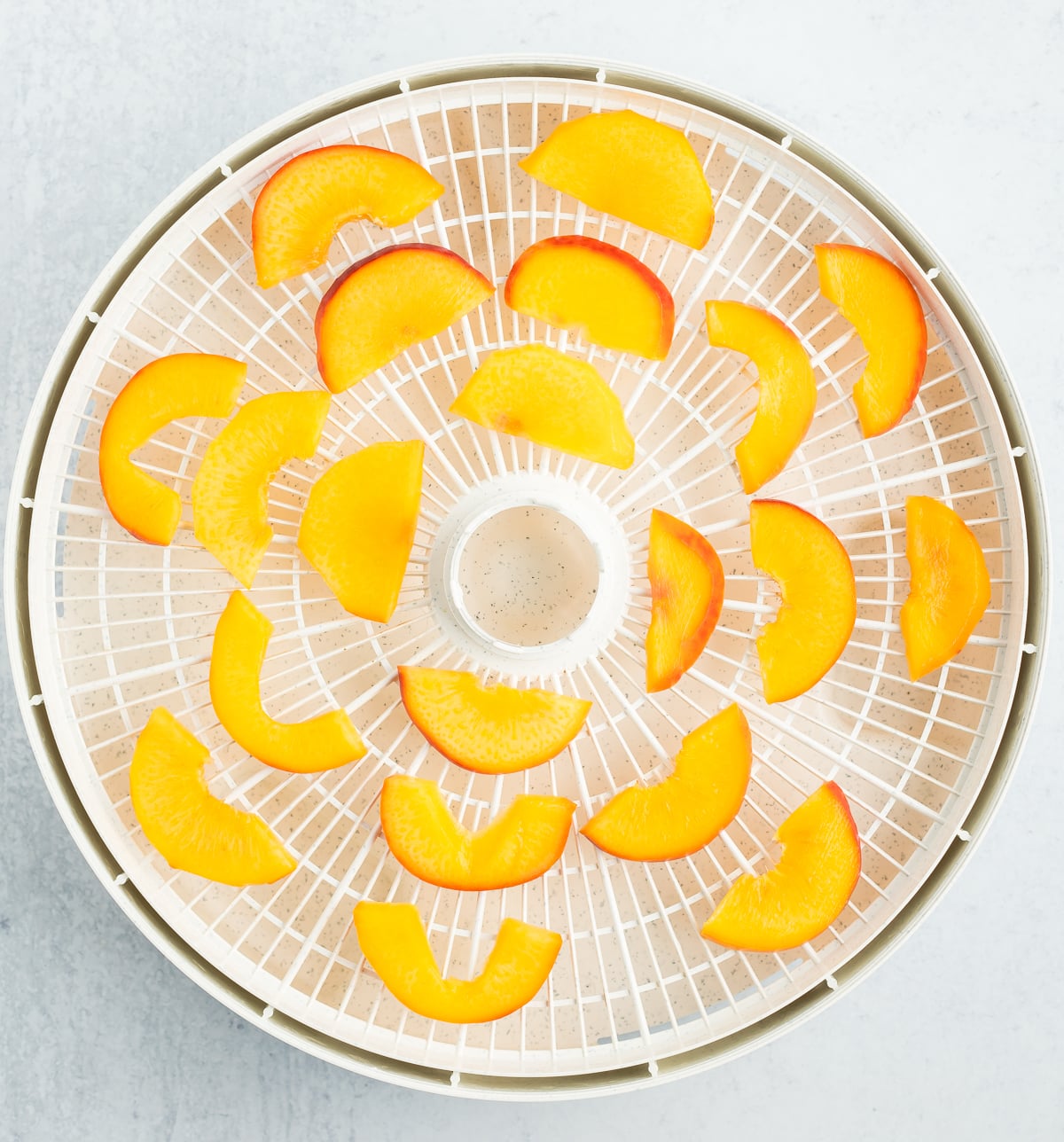 sliced peaches on a dehydrator tray.