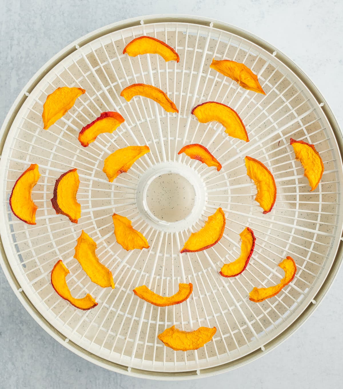 sliced dried peaches on a dehydrator tray.